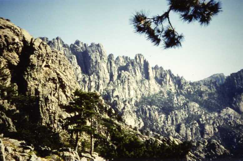 Corse