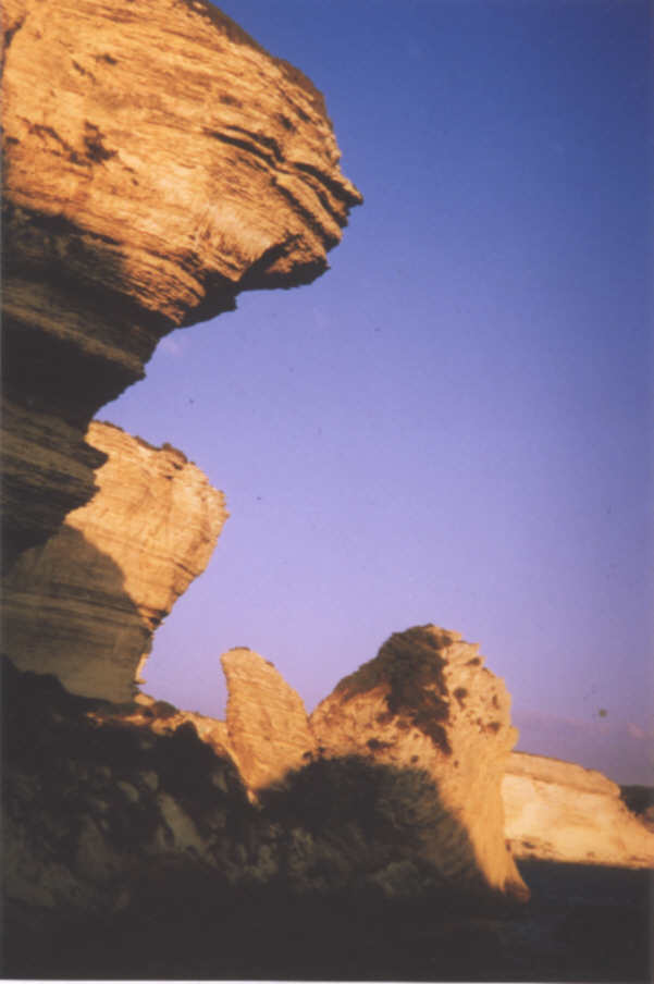 Bonifacio