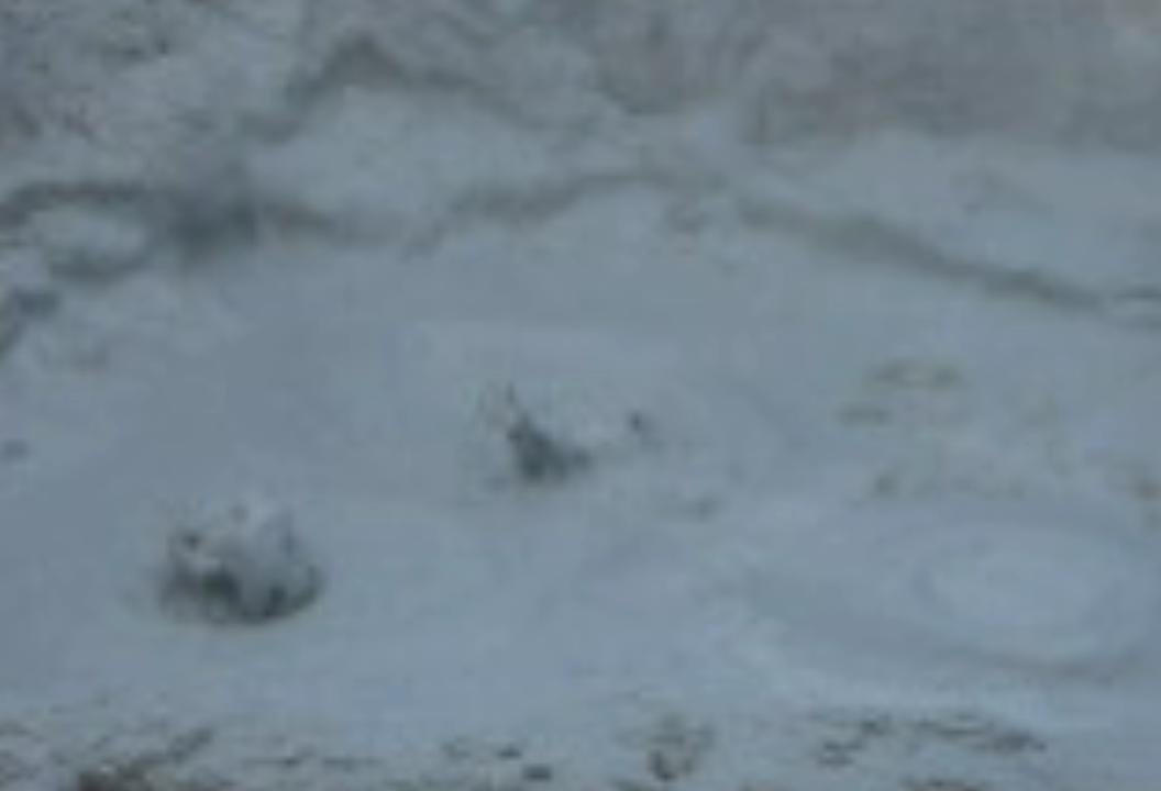 Hverir
