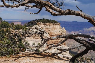Grand Canyon